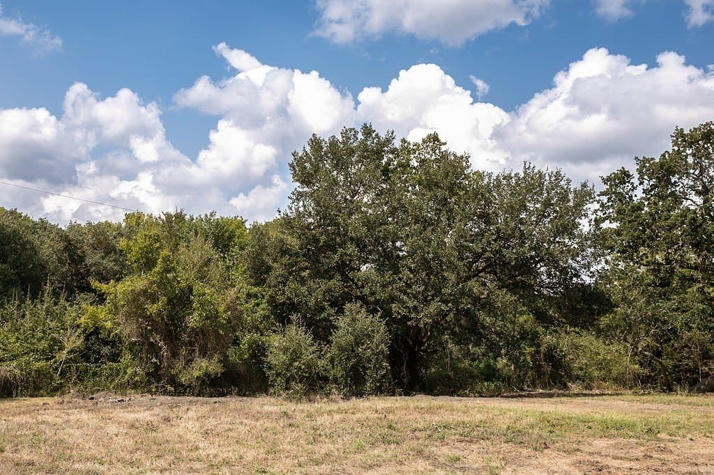 1 acres in Washington County - photo 2