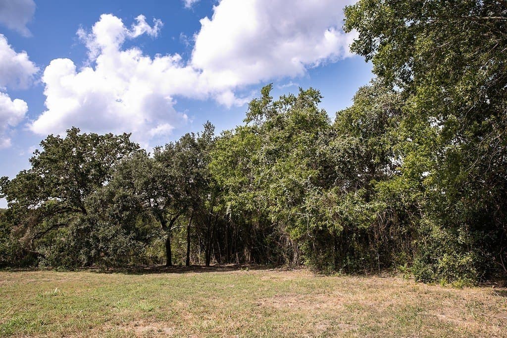 1 acres in Washington County - photo 6