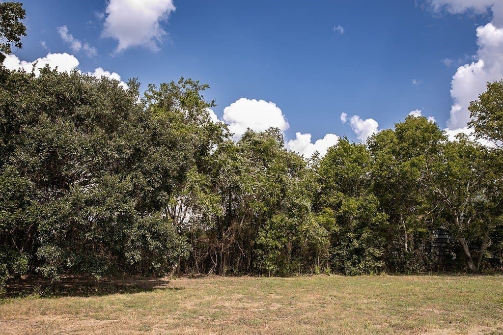 1 acres in Washington County - photo 5