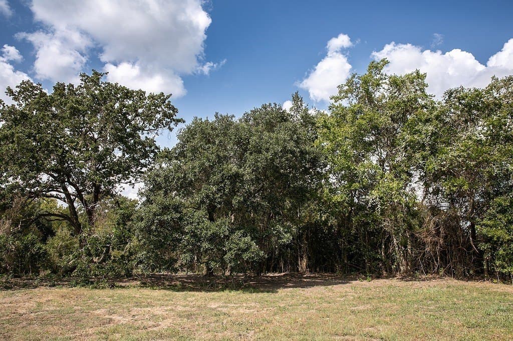 1 acres in Washington County - photo 3