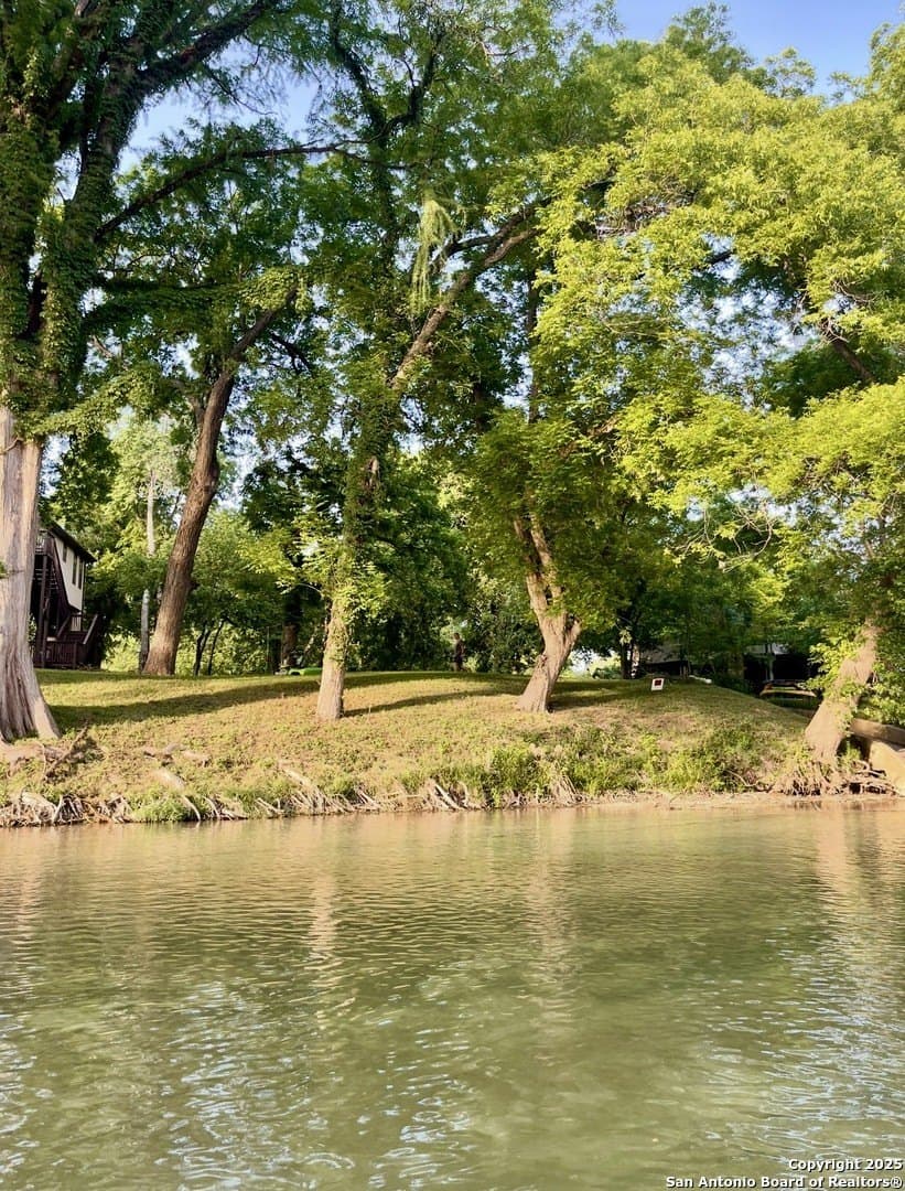 0.37 acres in Comal County gallery image 4