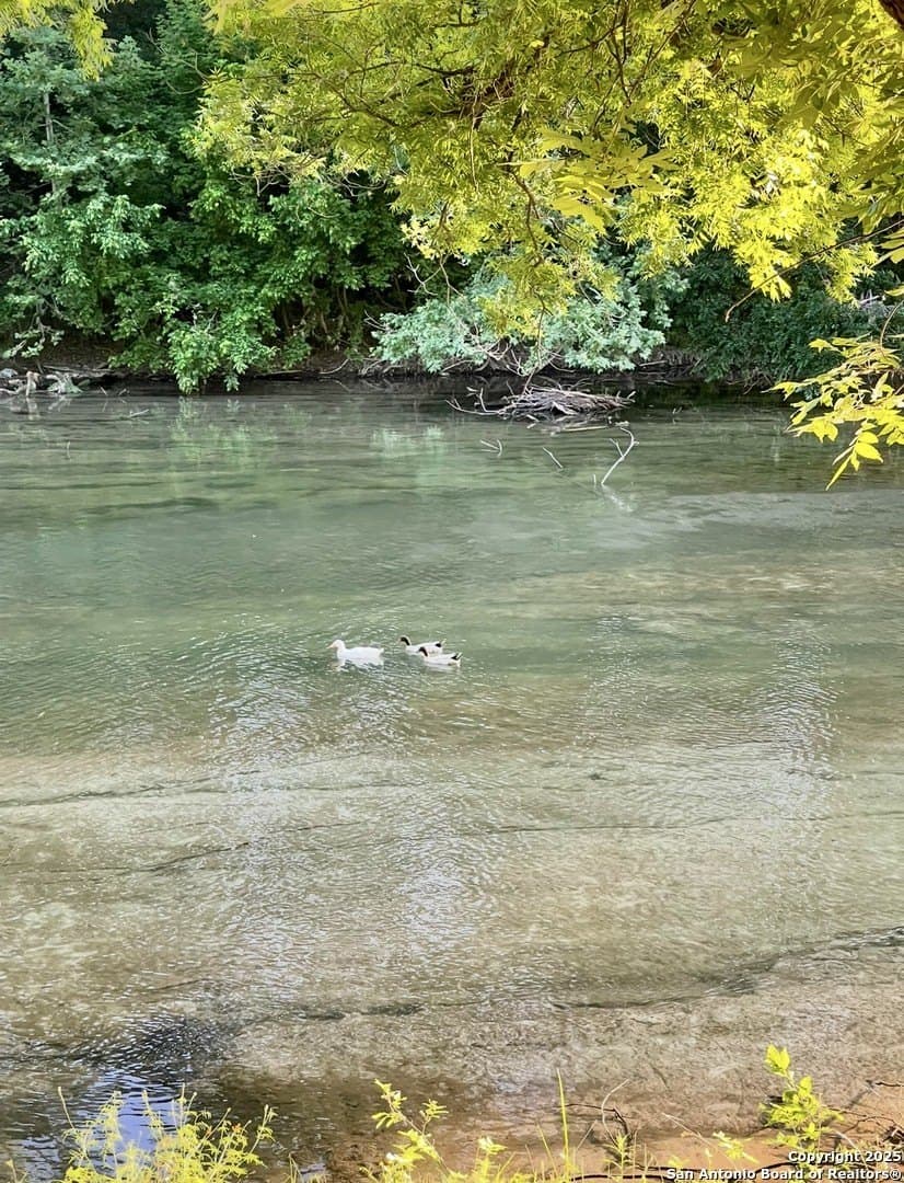 0.37 acres in Comal County - photo 6