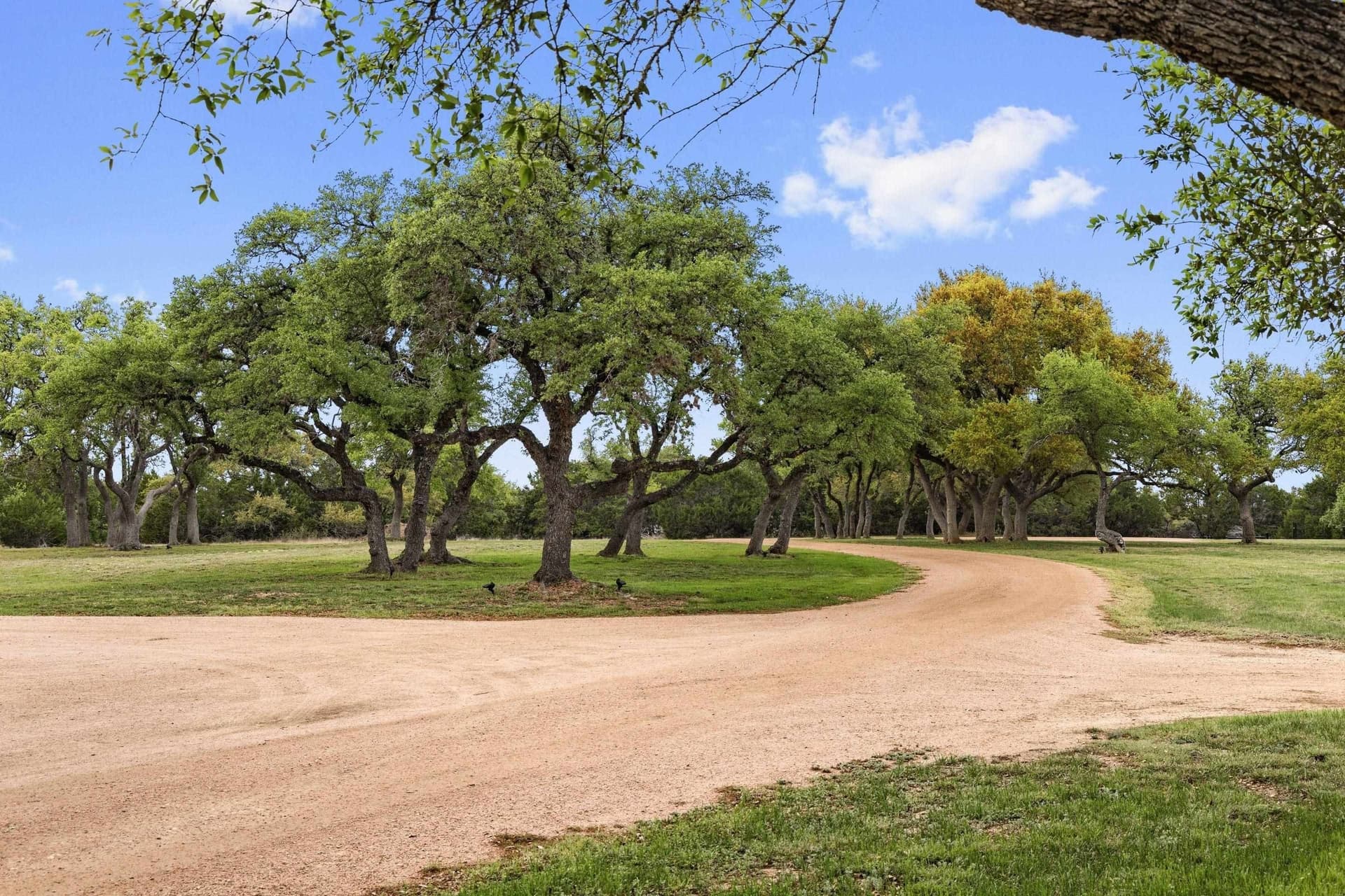 11.01 acres in Blanco County gallery image 2