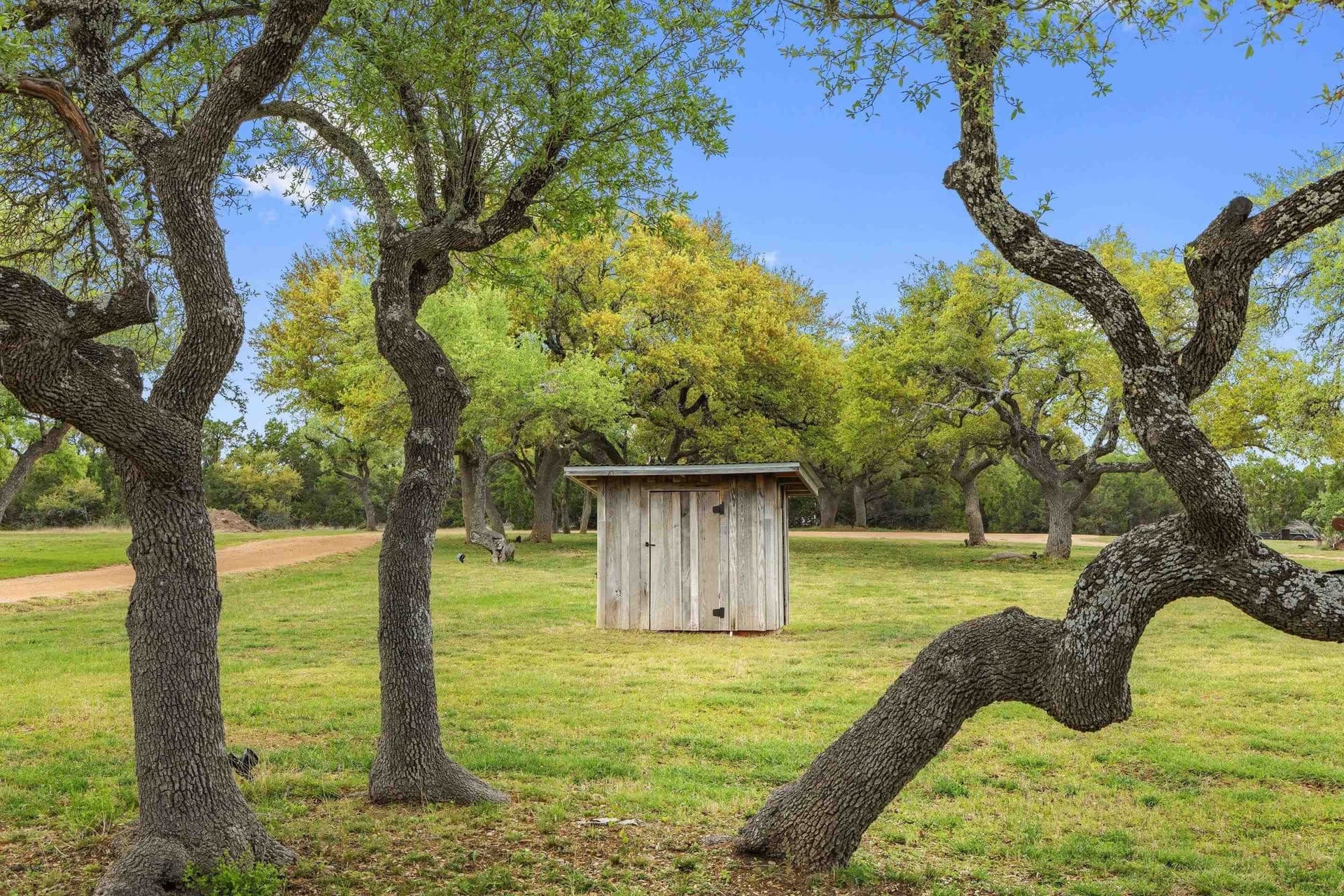 11.01 acres in Blanco County - photo 23