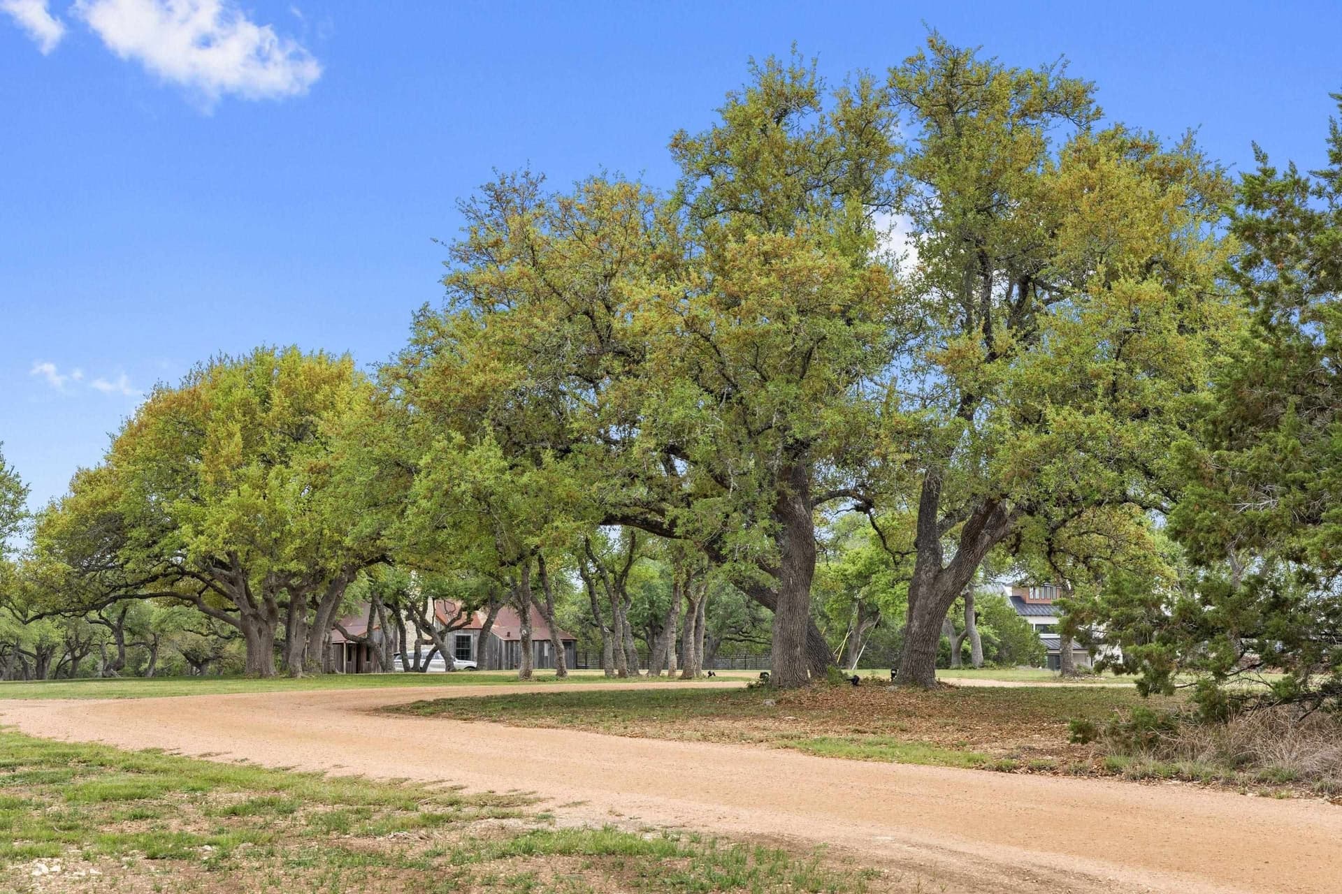 11.01 acres in Blanco County gallery image 3
