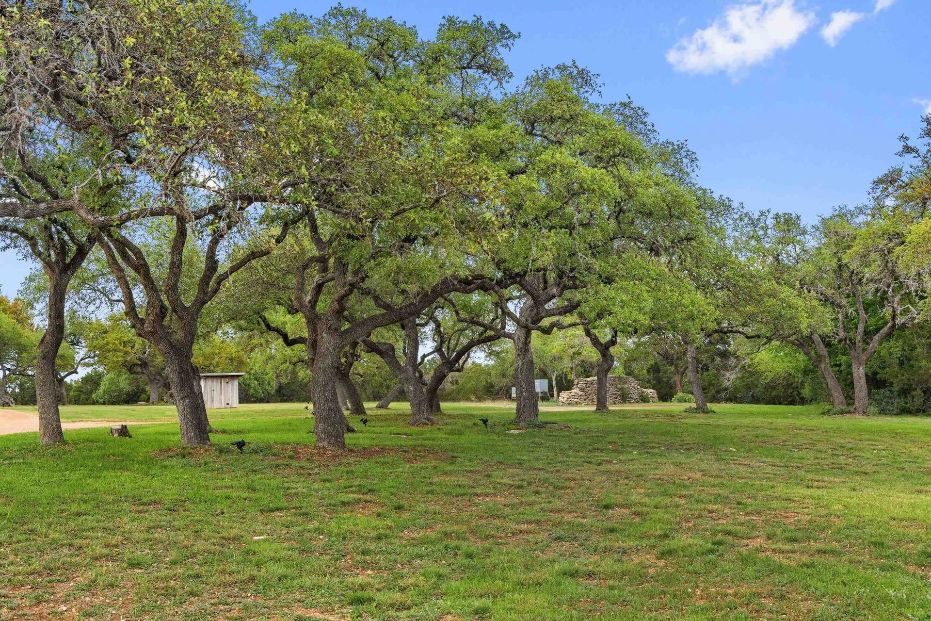 11.01 acres in Blanco County - photo 26