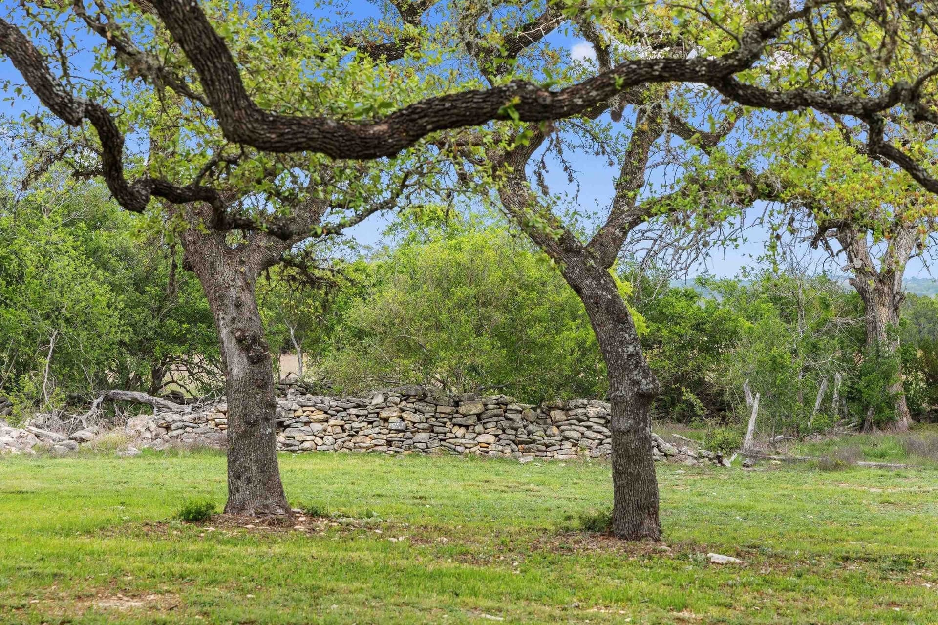 11.01 acres in Blanco County - photo 25