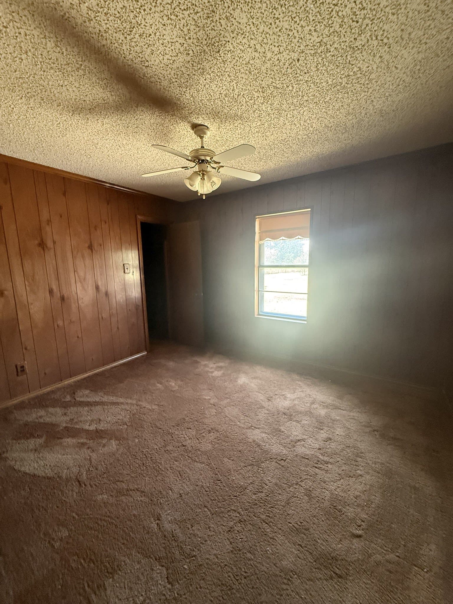 23.93 acres in Eastland County - photo 10