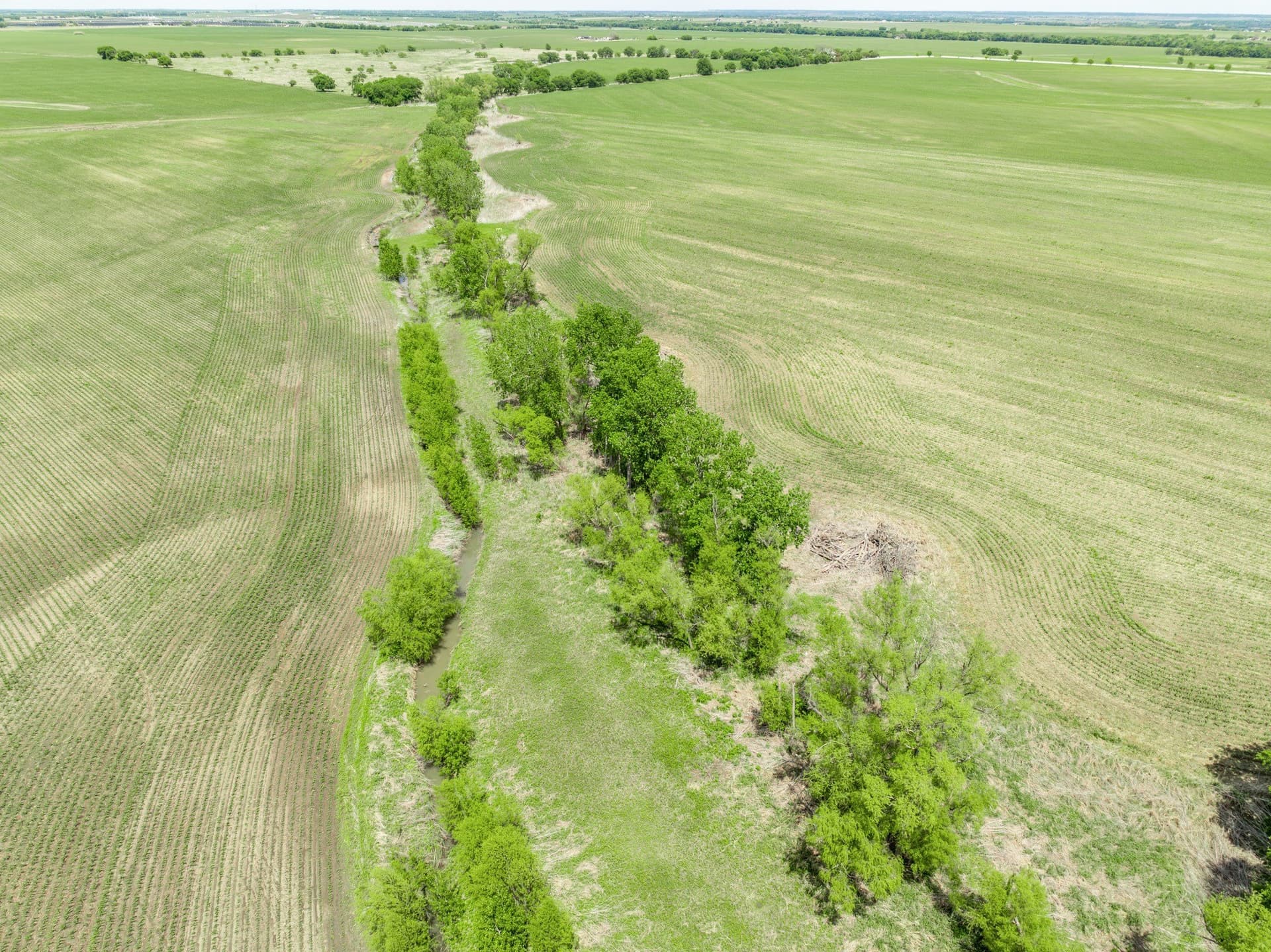 10.01 acres in Hill County - photo 15