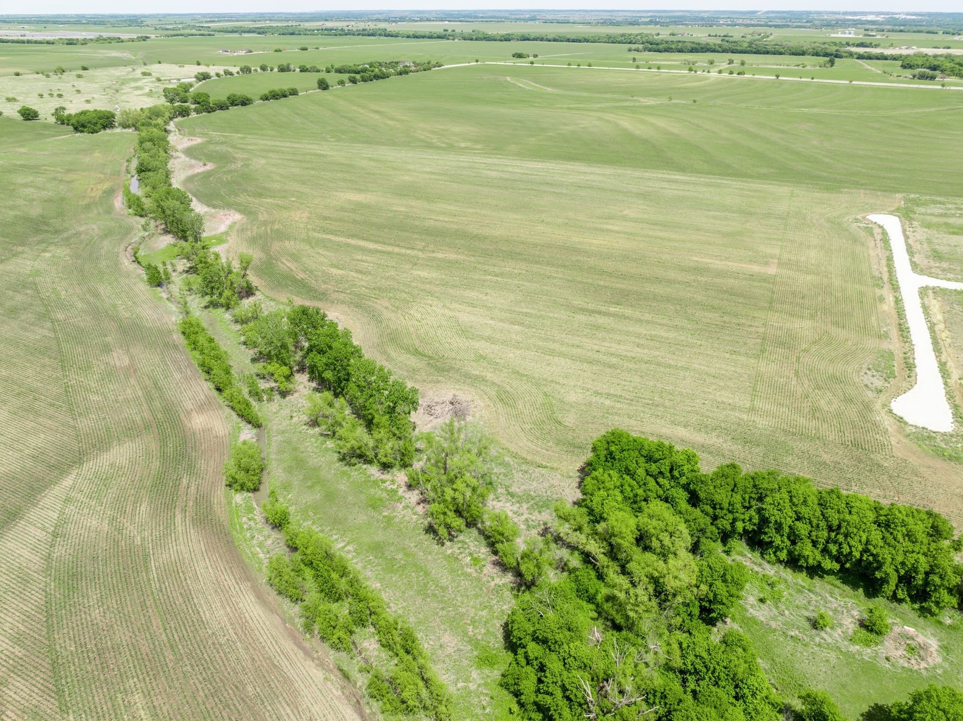 10.01 acres in Hill County - photo 14