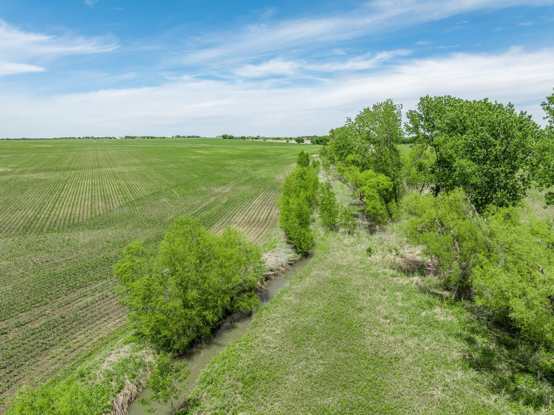 10.01 acres in Hill County - photo 16