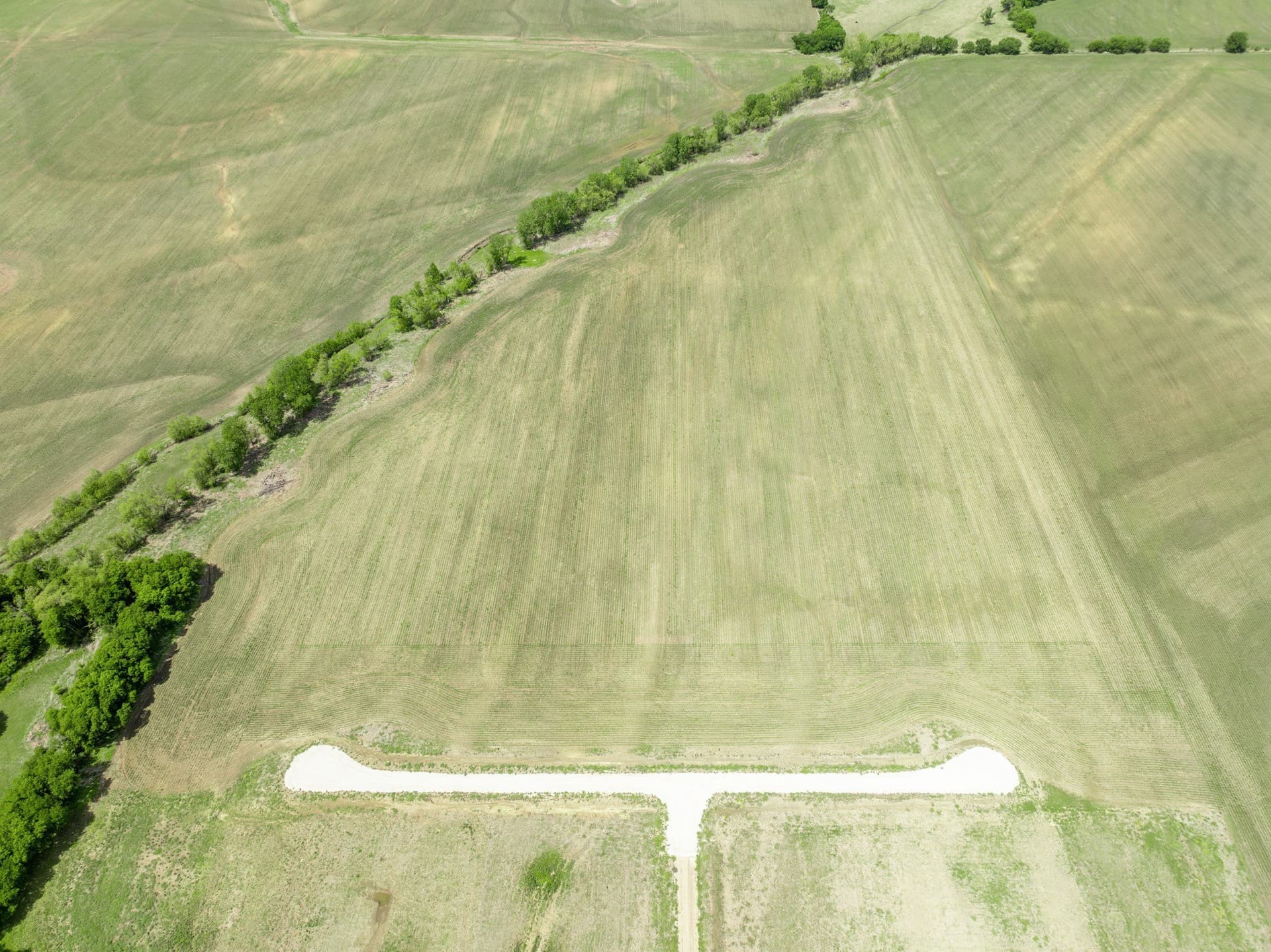 10.01 acres in Hill County - photo 7