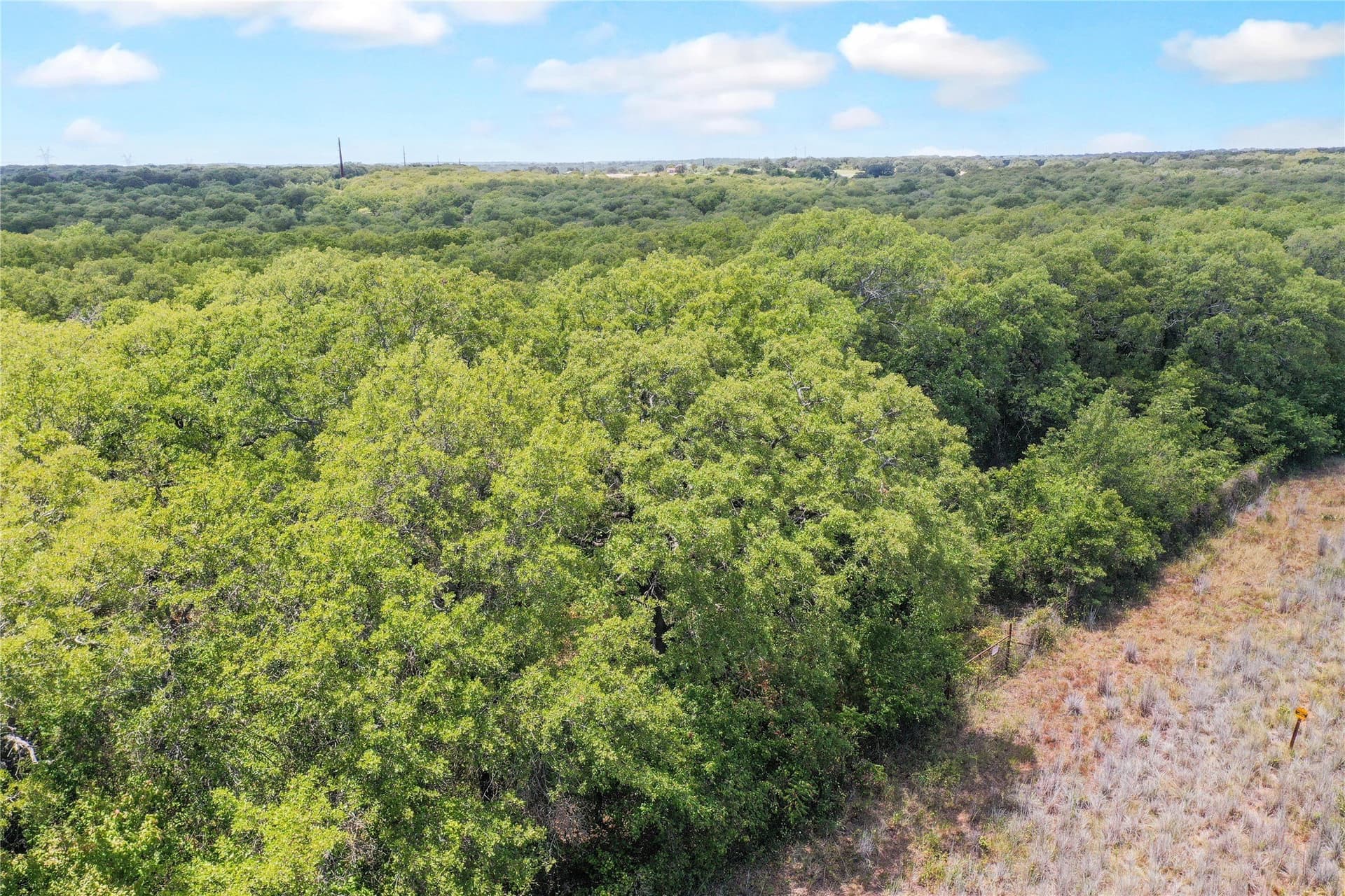 31.25 acres in Jack County - photo 6