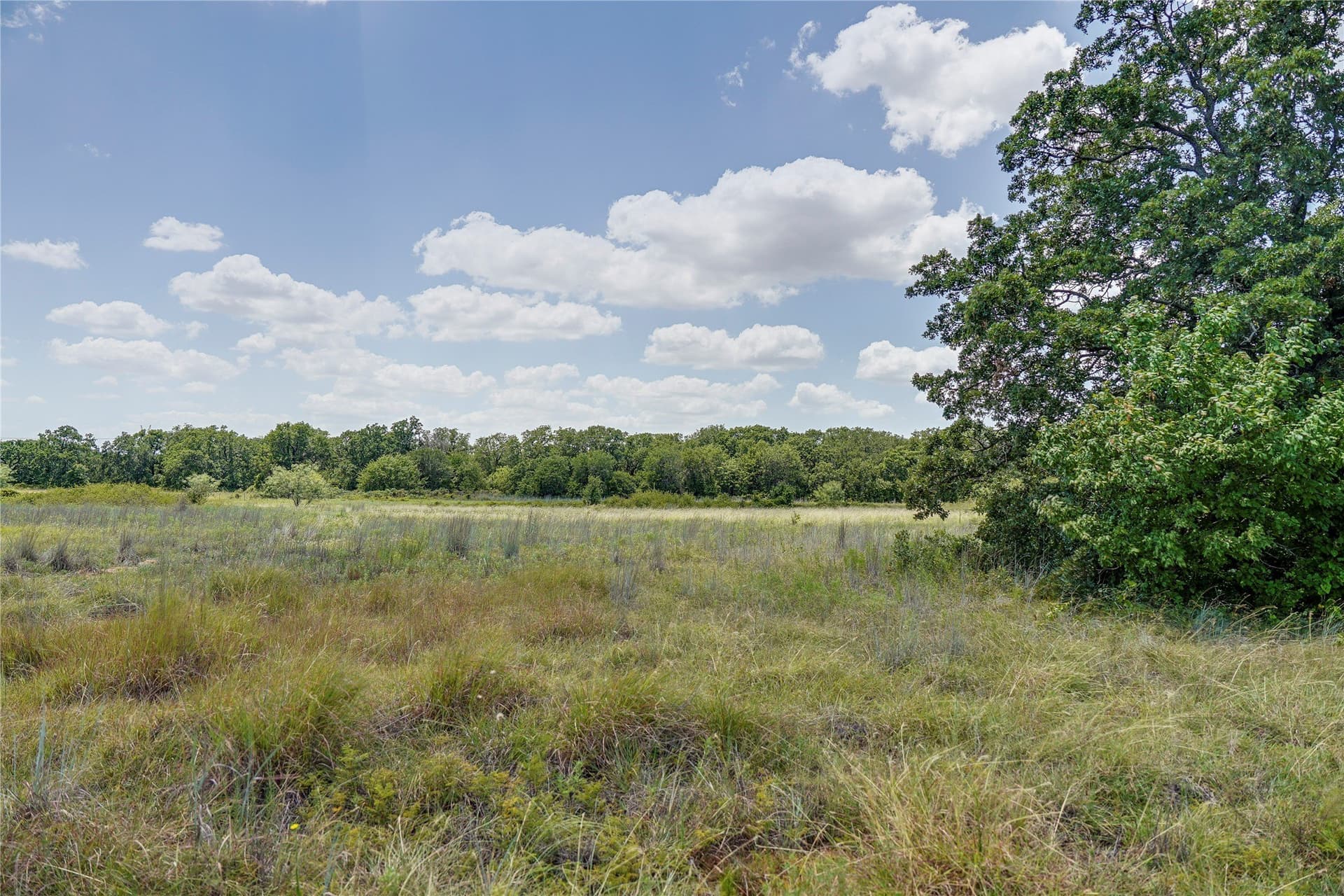 31.25 acres in Jack County - photo 23
