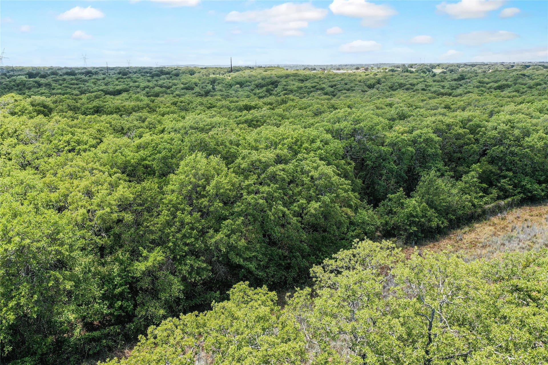 31.25 acres in Jack County featured view