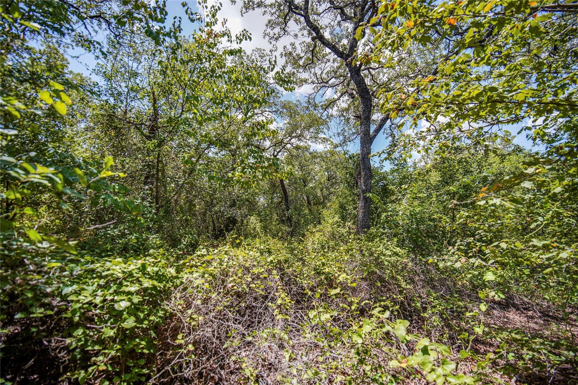 31.25 acres in Jack County - photo 18