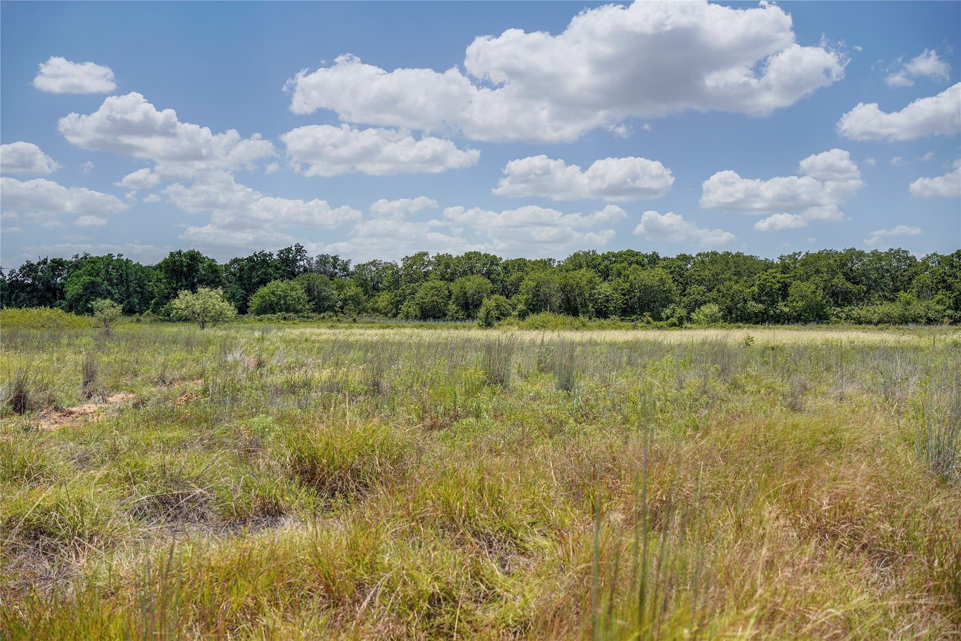 31.25 acres in Jack County - photo 24