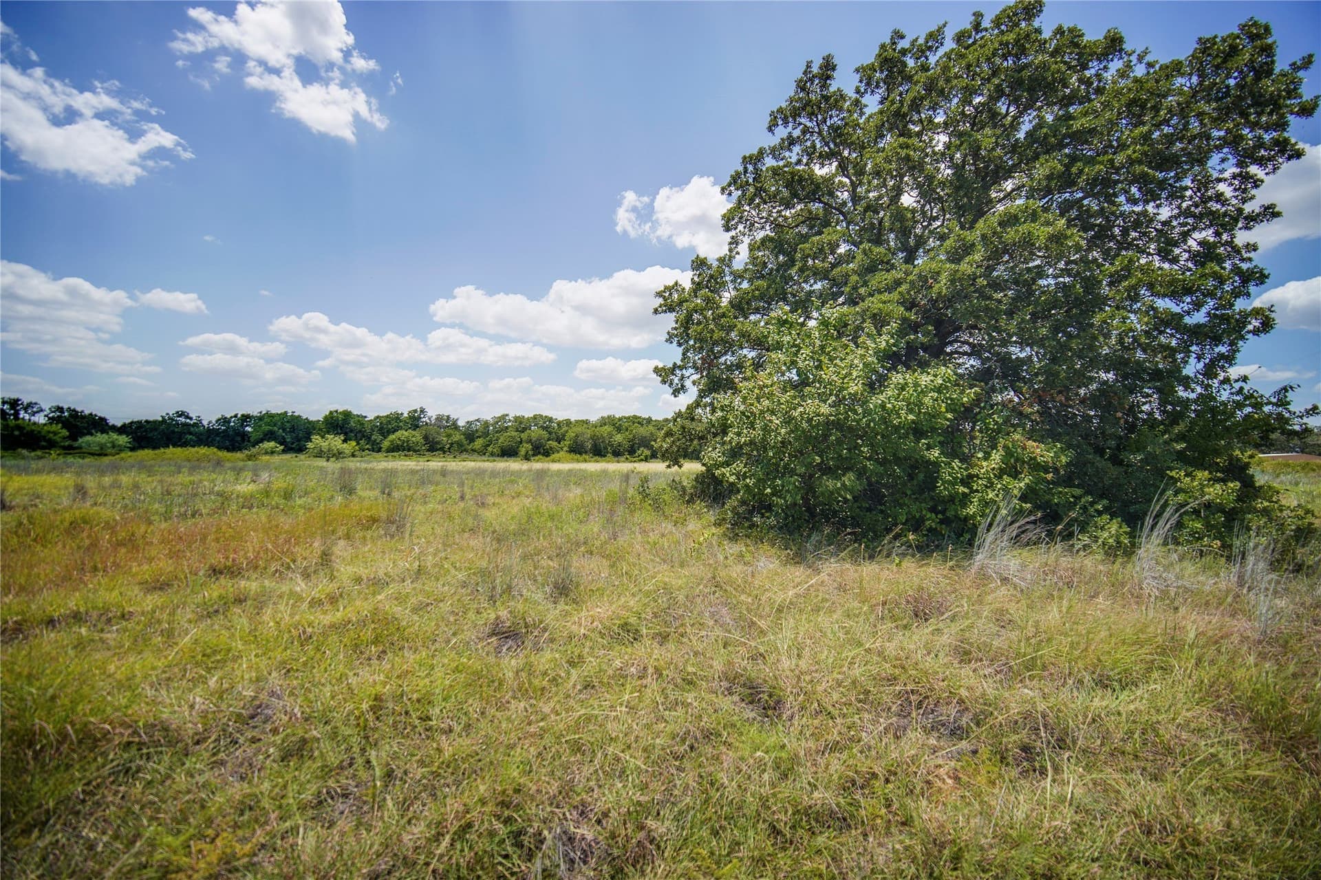 31.25 acres in Jack County - photo 22
