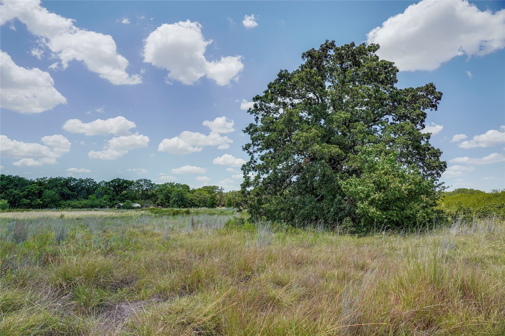 31.25 acres in Jack County - photo 26
