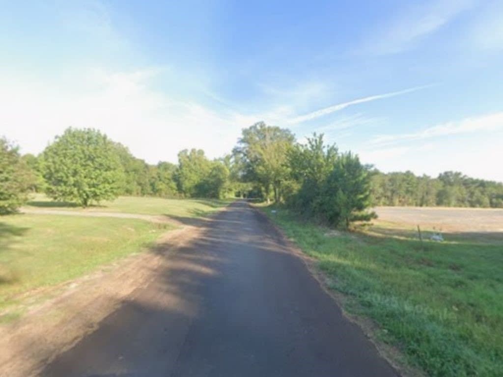 50 acres in Panola County - photo 3