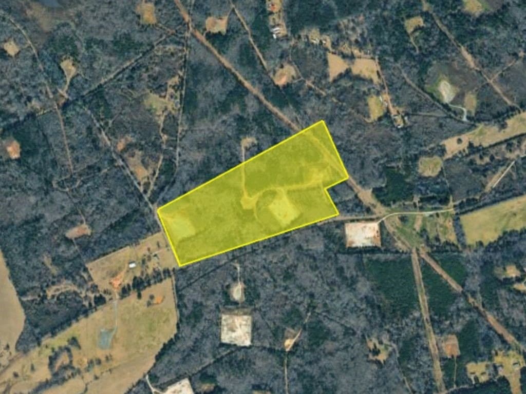 50 acres in Panola County - photo 5