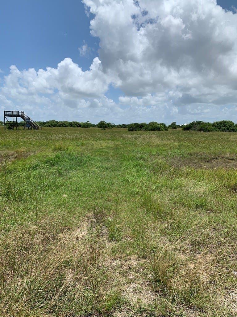 3 acres in Palacios Area County - photo 2