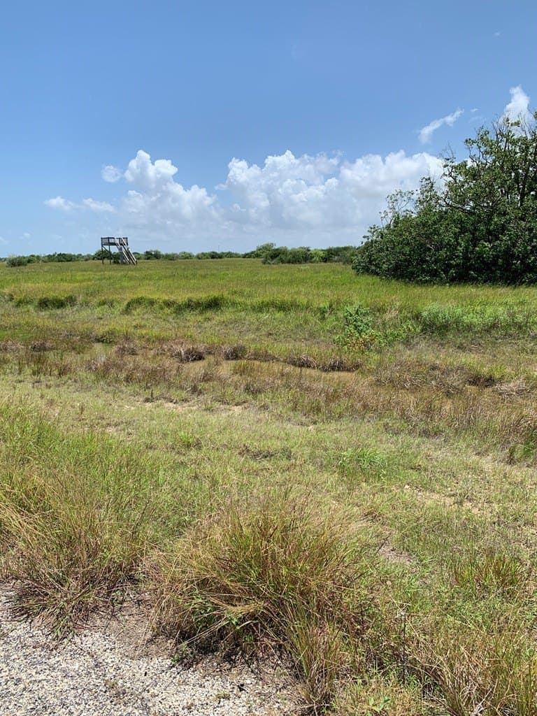 3 acres in Palacios Area County - photo 4