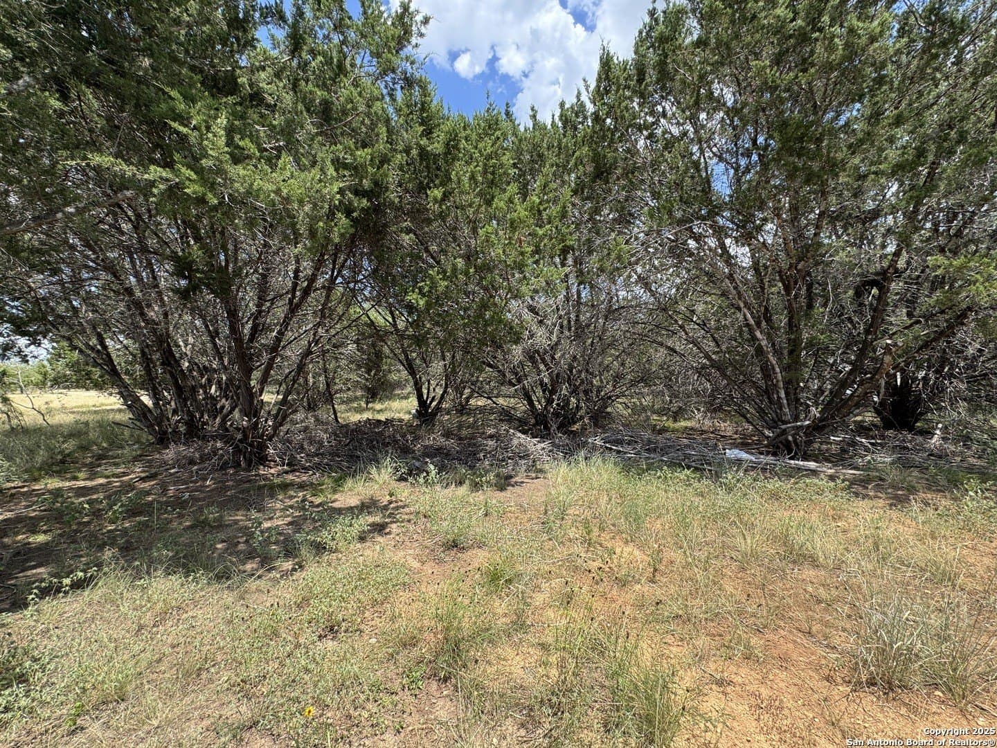 0.09 acres in Bandera County gallery image 3