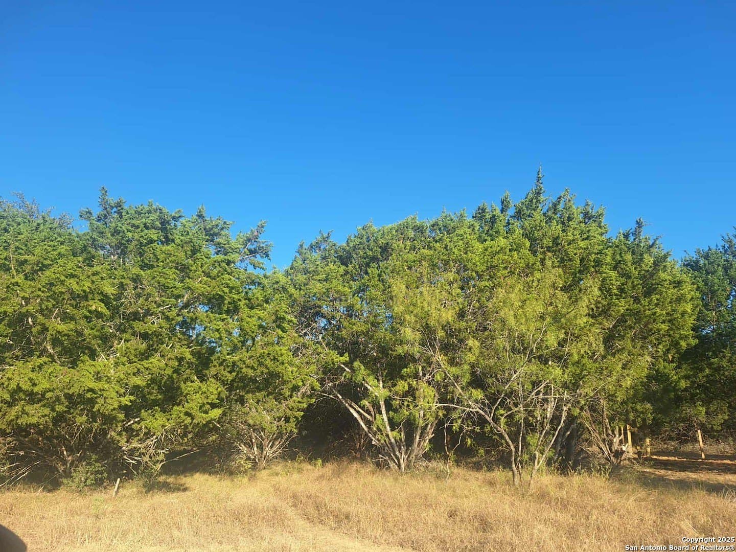 0.09 acres in Bandera County - photo 10