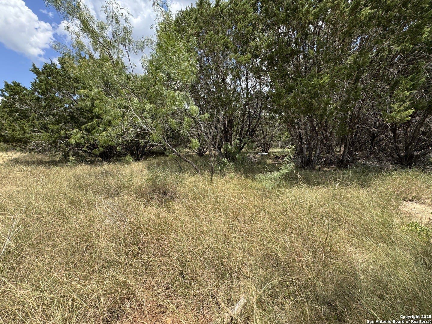 0.09 acres in Bandera County - photo 6