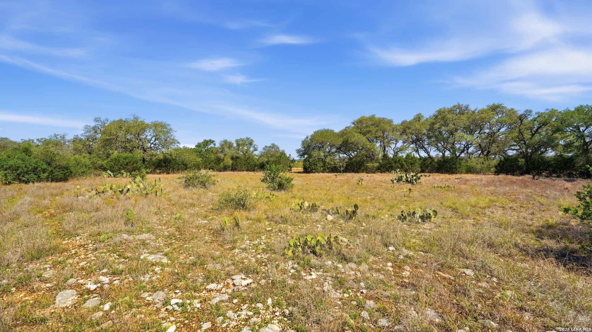 6.8 acres in Comal County gallery image 4