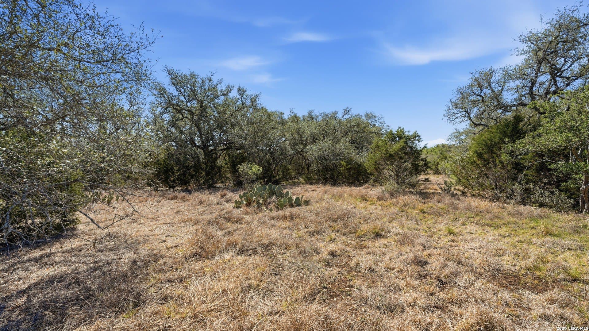 6.8 acres in Comal County - photo 6