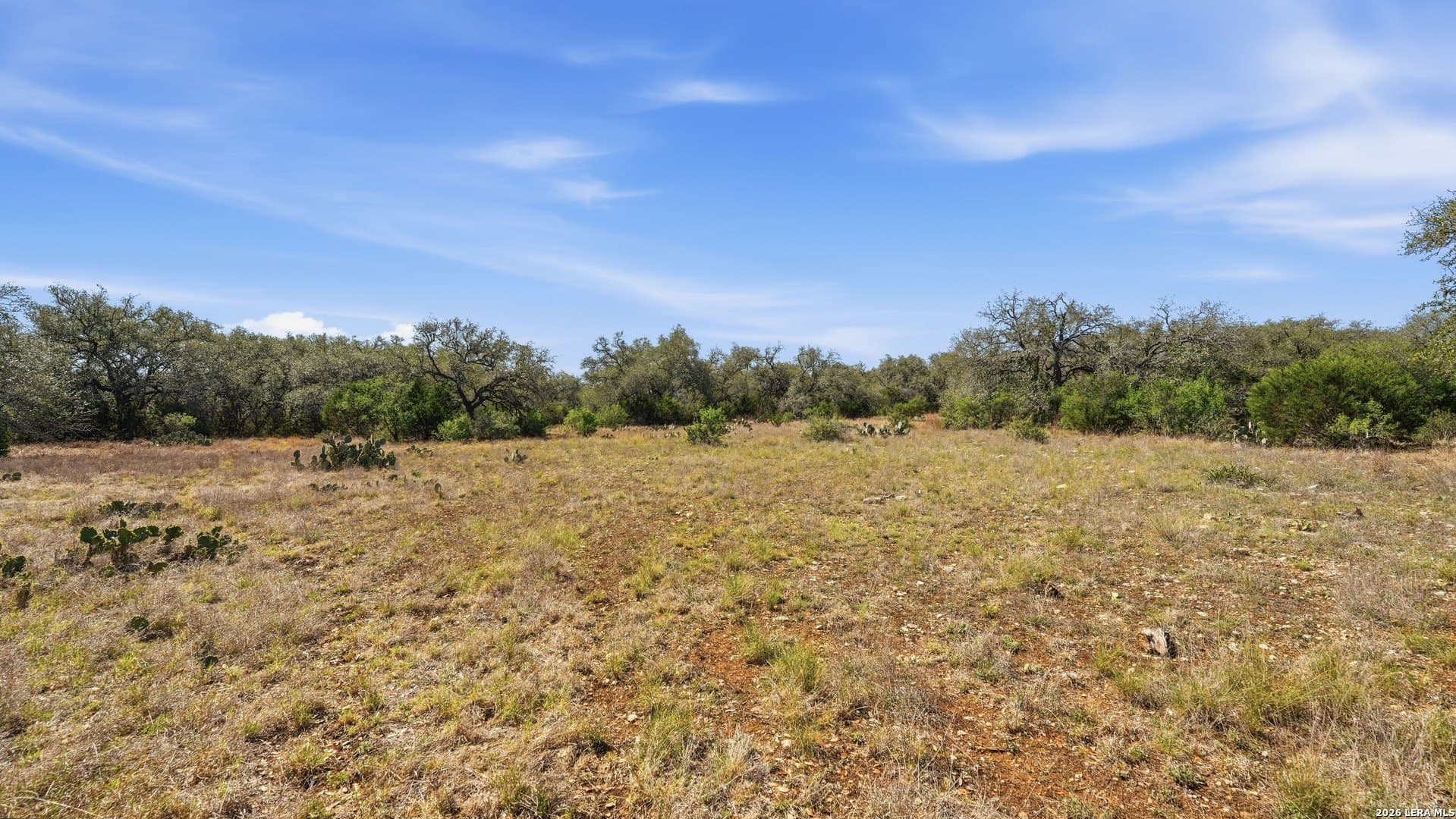 6.8 acres in Comal County - photo 8