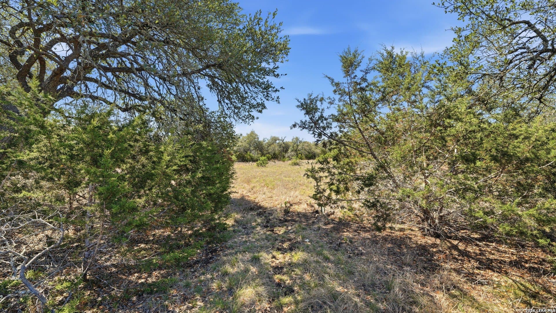 6.8 acres in Comal County gallery image 2