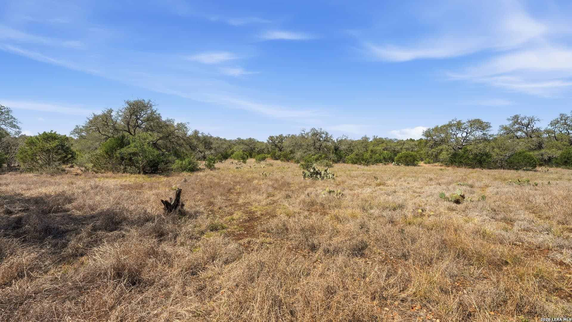 6.8 acres in Comal County - photo 16