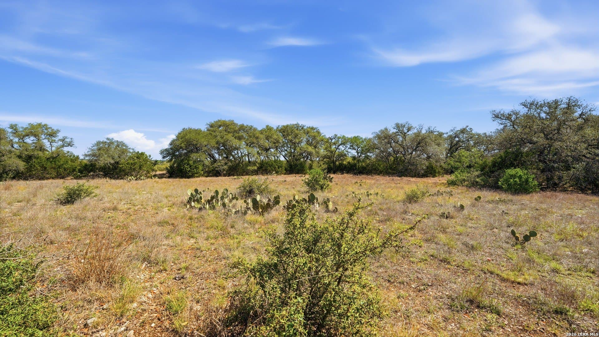 6.8 acres in Comal County featured view