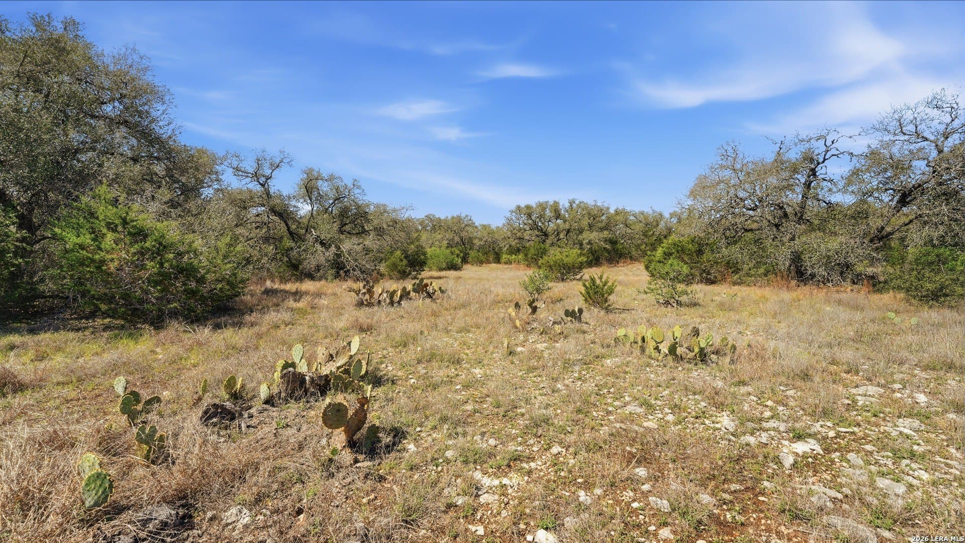 6.8 acres in Comal County gallery image 3