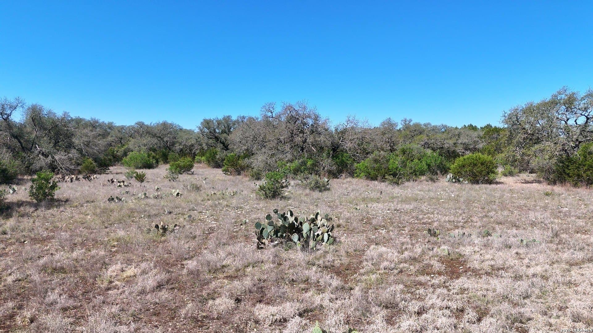 6.8 acres in Comal County - photo 7