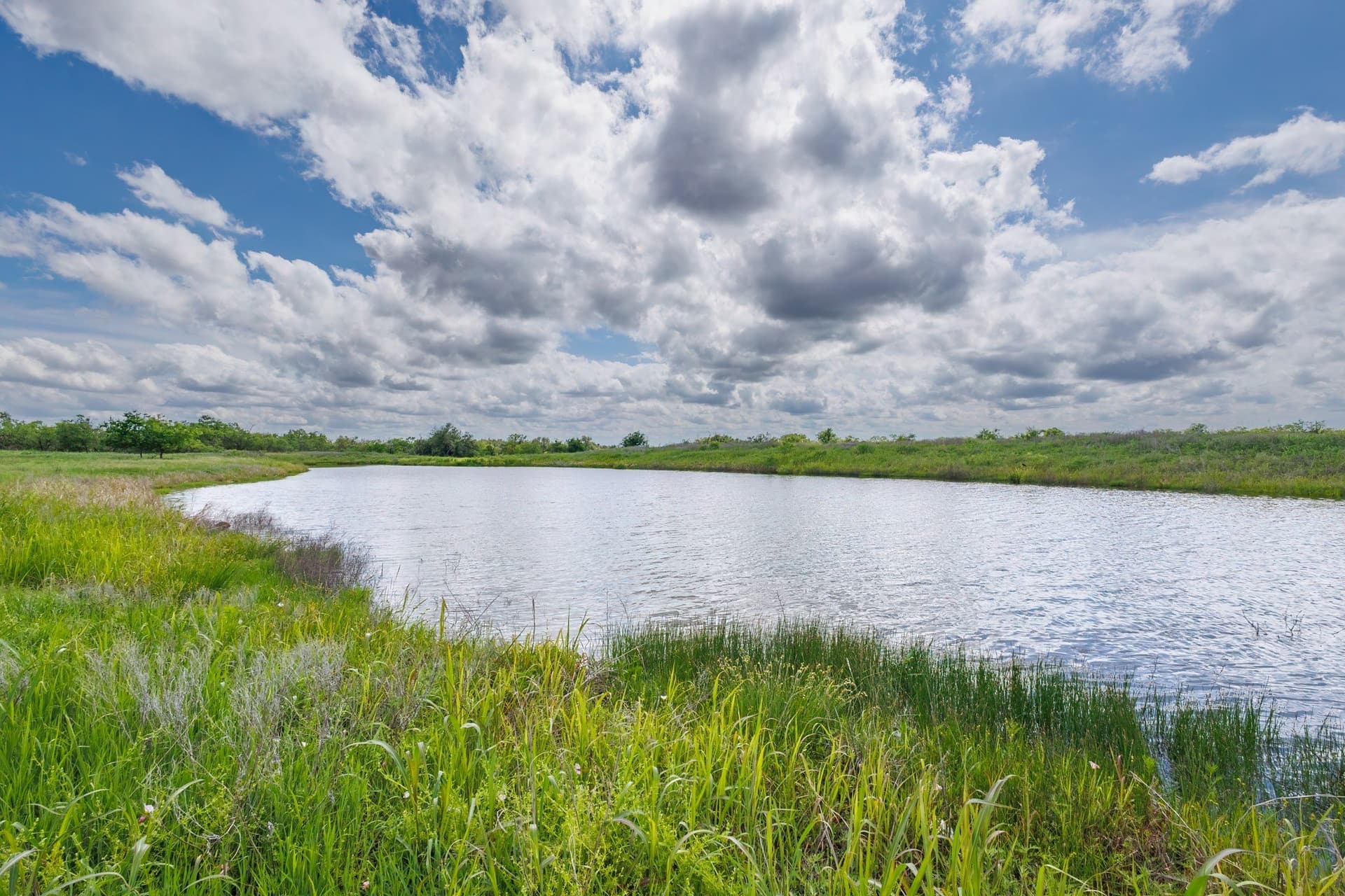26 acres in Coleman County gallery image 2