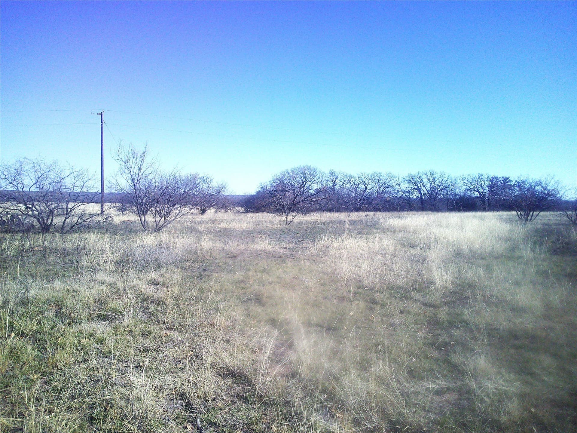 11.03 acres in Wise County - photo 7