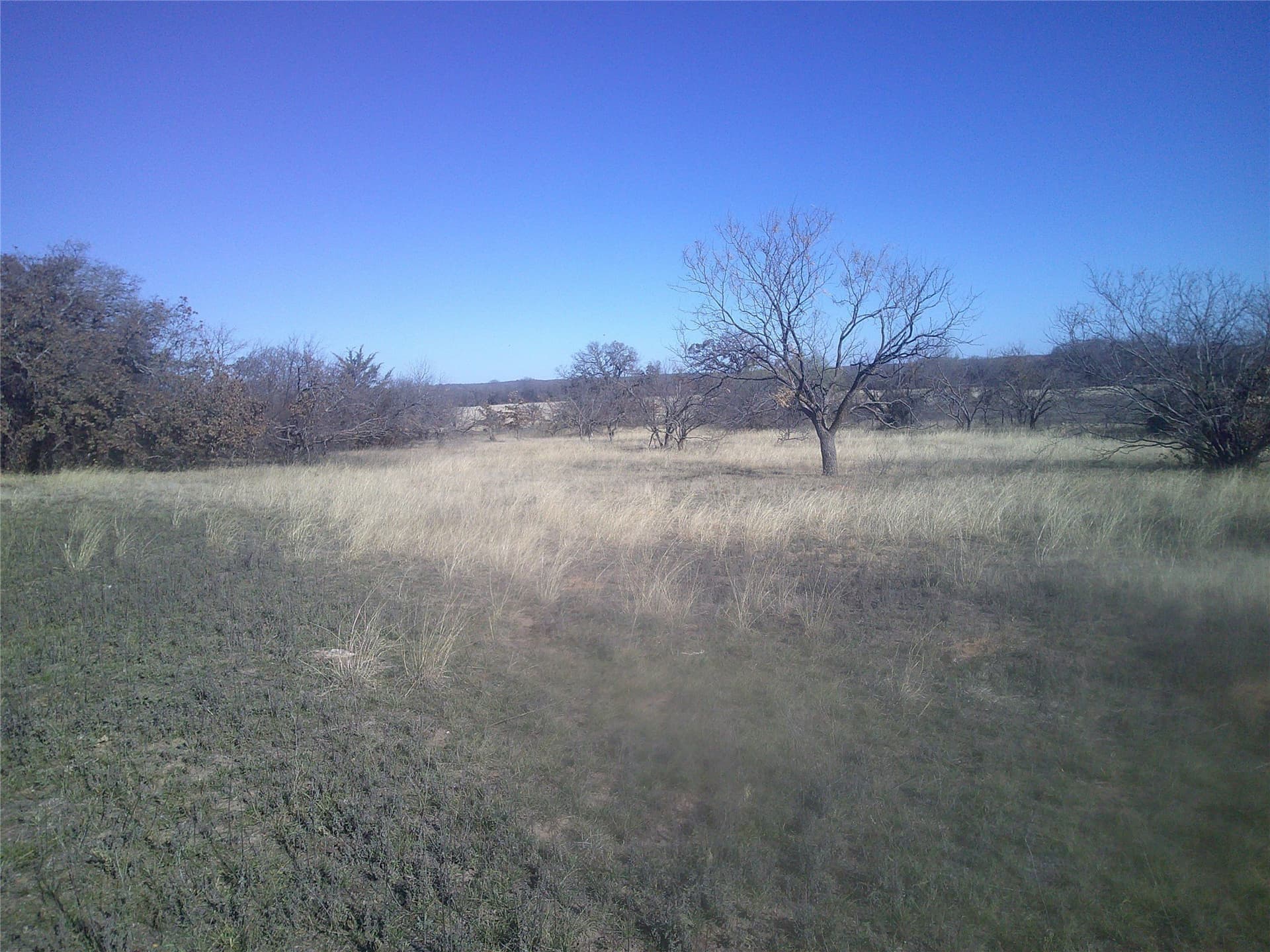 11.03 acres in Wise County - photo 4