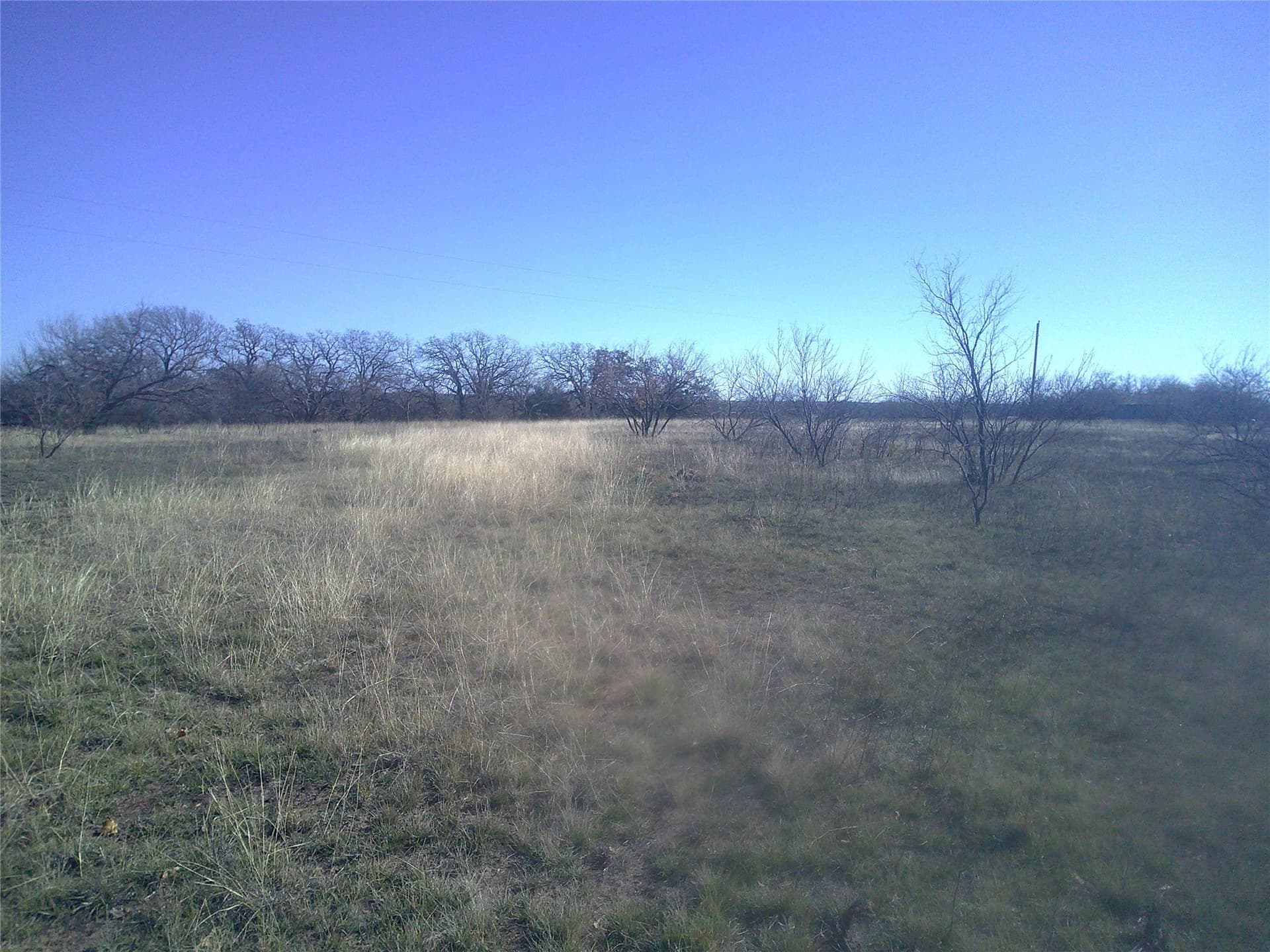 11.03 acres in Wise County - photo 2