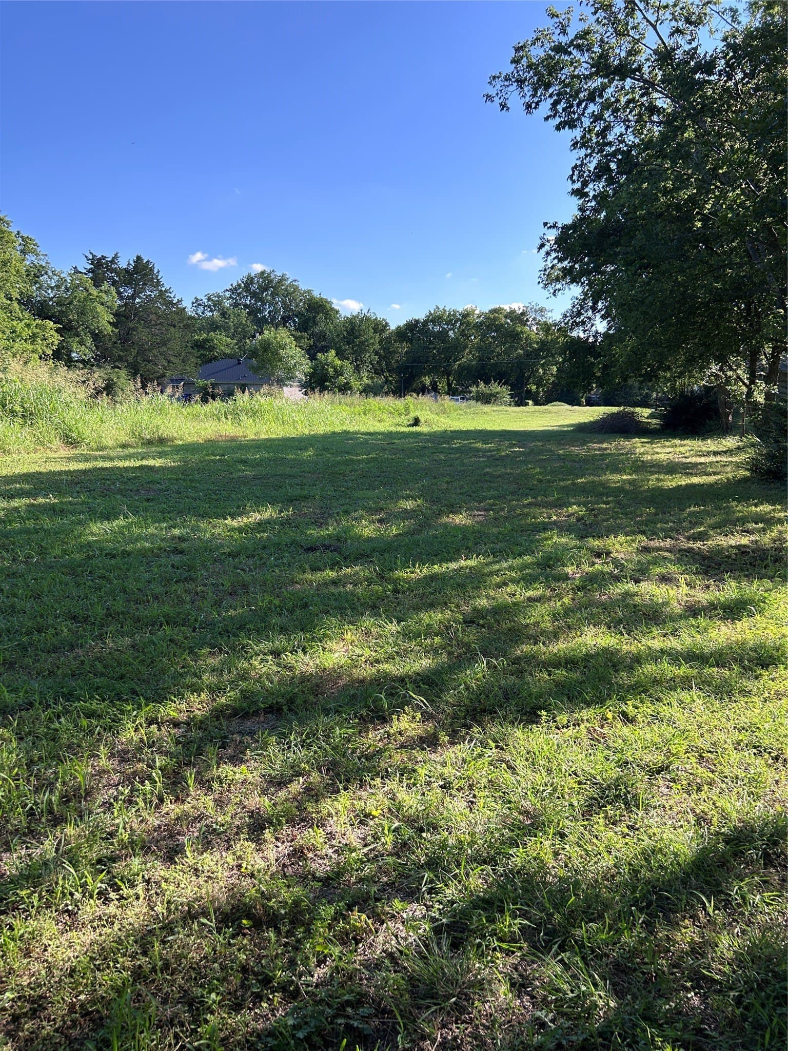 0.35 acres in Dallas County gallery image 3