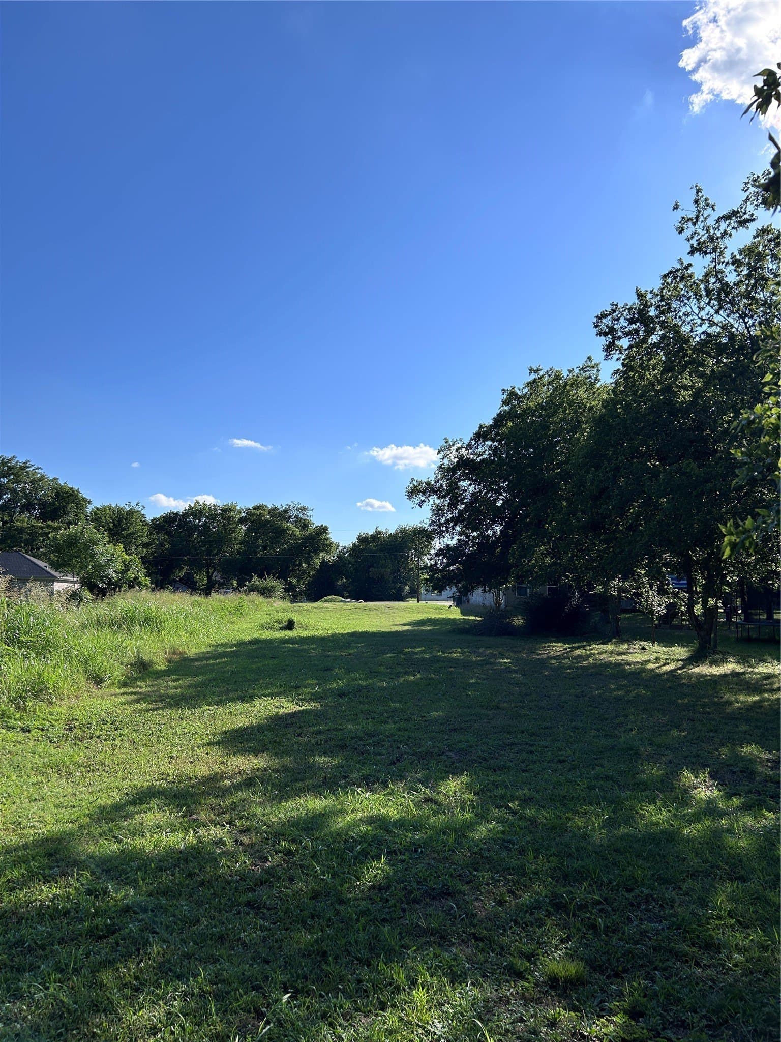 0.35 acres in Dallas County gallery image 2