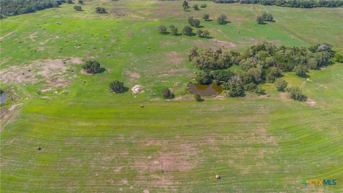 12.09 acres in Bastrop County gallery image 4
