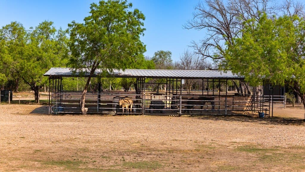 16.05 acres in Maverick County - photo 17