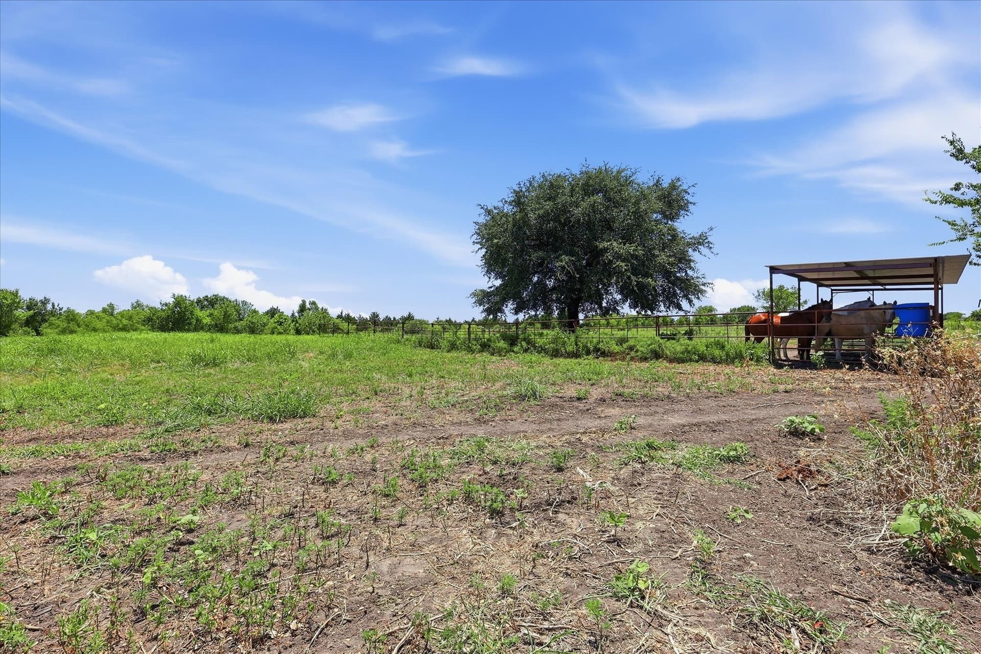 12.13 acres in Ellis County - photo 6