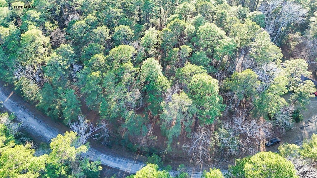 0.19 acres in Texas County gallery image 2