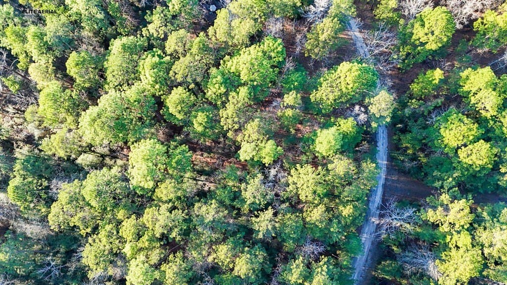 0.19 acres in Texas County gallery image 4