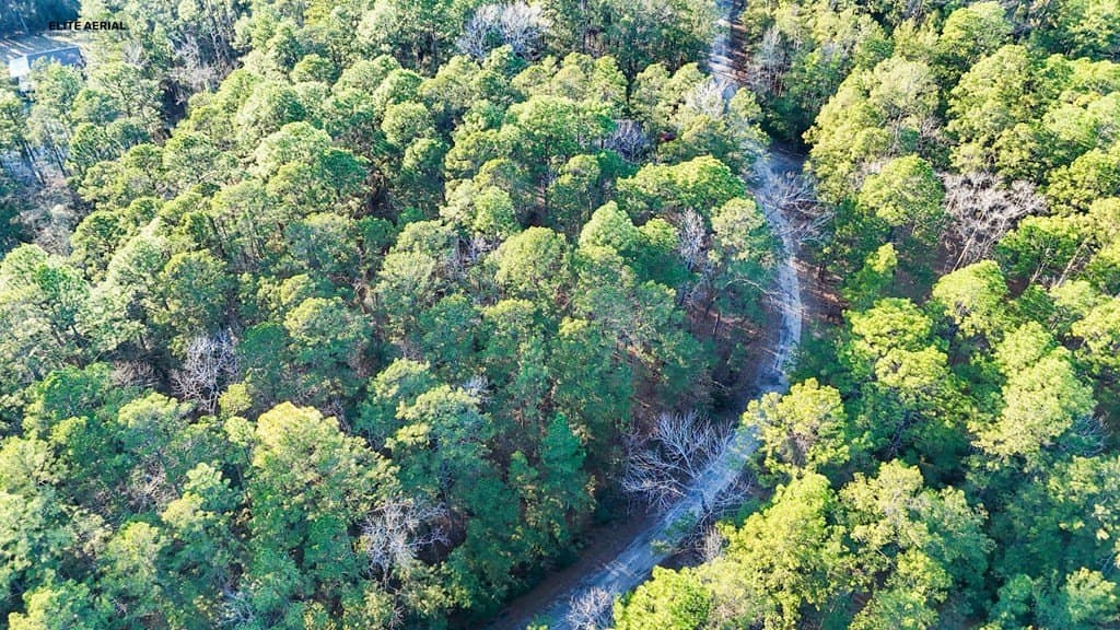 0.19 acres in Texas County gallery image 3